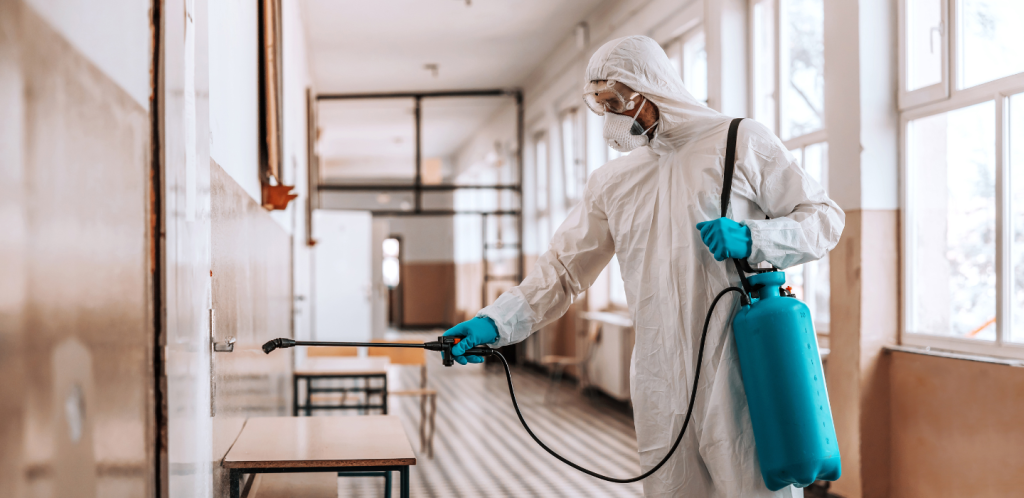 Pest Control Brisbane